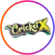 CricketX